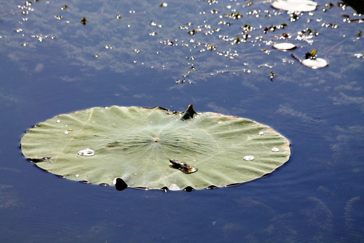 ಆಧ್ಯಾತ್ಮಿಕ ನಾಸ್ತಿಕತೆ