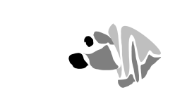 ಯಾದಿರಾ ಕಥೆಗಳು