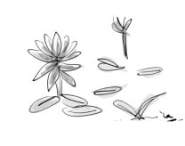 11422711_1454980264802199_1031180472_n