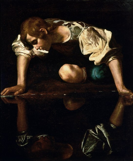 Narcissus2