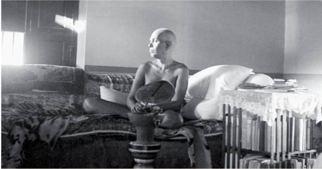 ramana-w-fan-on-couch-lg