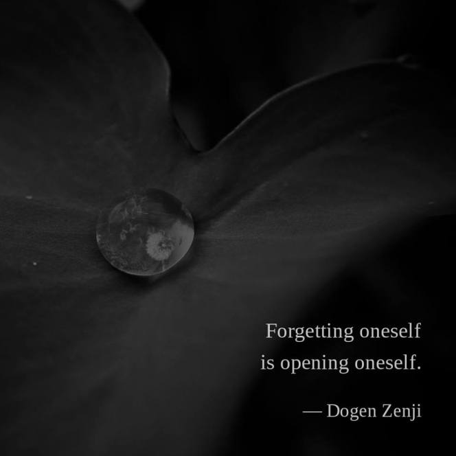 55680268_2392717100974145_5132434297508069376_n