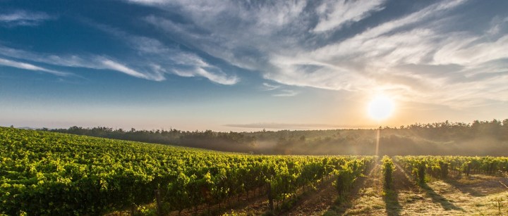 farm land during sunset